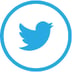 Twitter 132x132