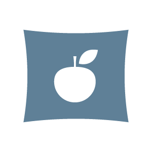 Window graphic application icon